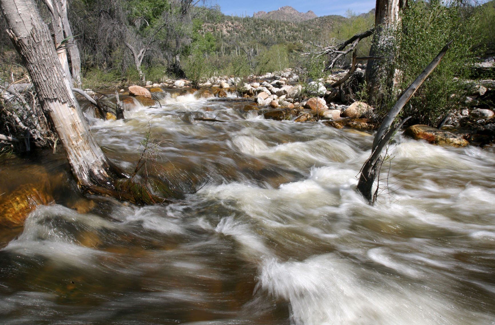 Sabino Canyon